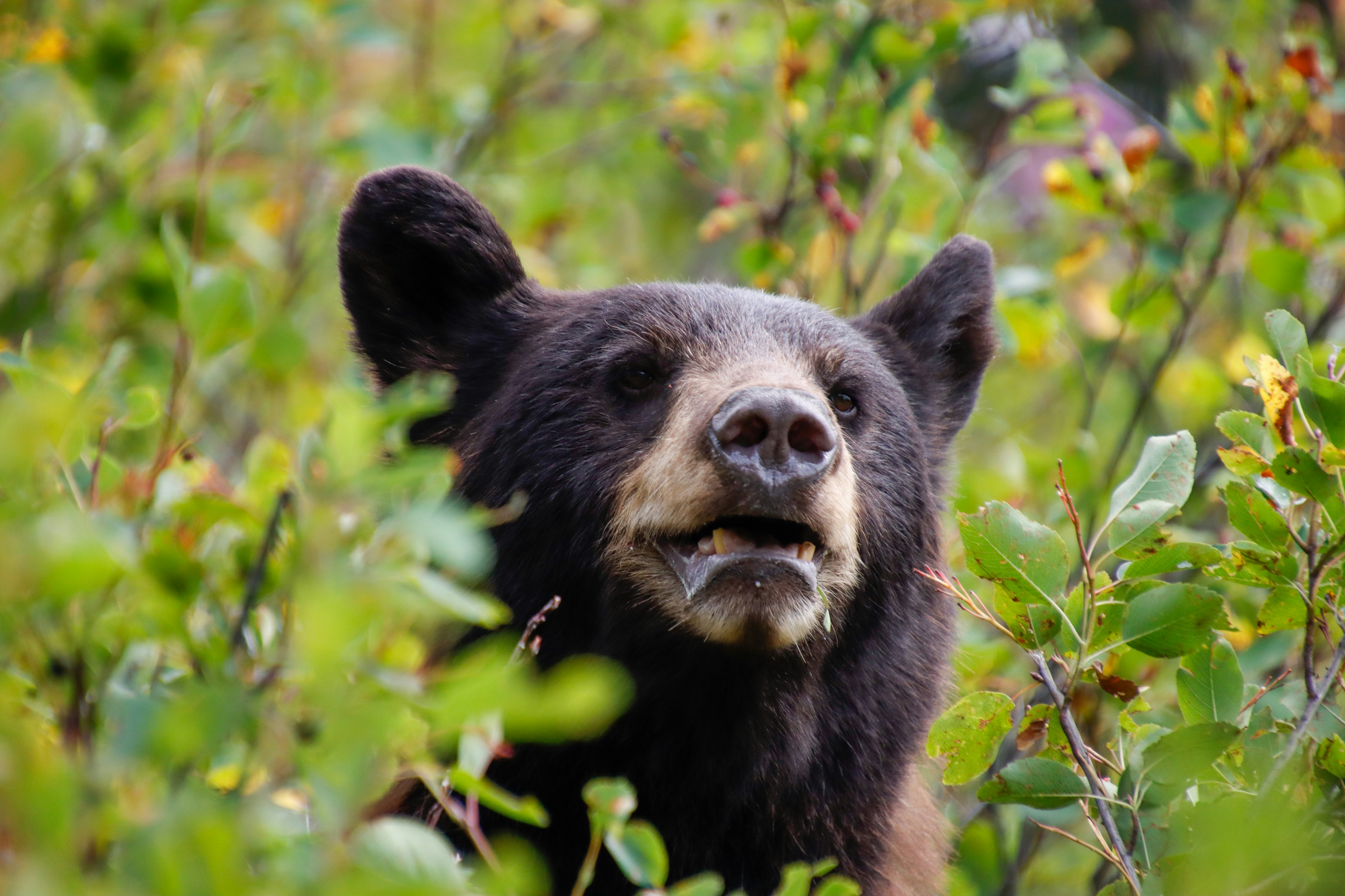 Photo by alla_kemelmakher