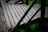 A wooden deck or footbridge is shown with horizontal slats and diagonal beams for support. The structure is surrounded by dense green foliage and is set against a backdrop of rocks.