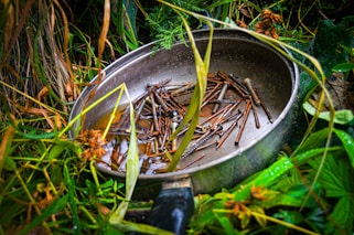 A metal pan filled with rusty screws is placed outdoors, surrounded by various green plants and foliage.