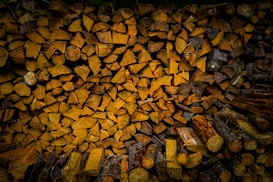 A neatly stacked pile of firewood arranged in a compact manner. The logs are cut into various shapes, primarily circular and semi-circular, showcasing different shades of brown and wood textures. The image is taken in a warmly lit environment that highlights the detailed patterns and grain of the wood.