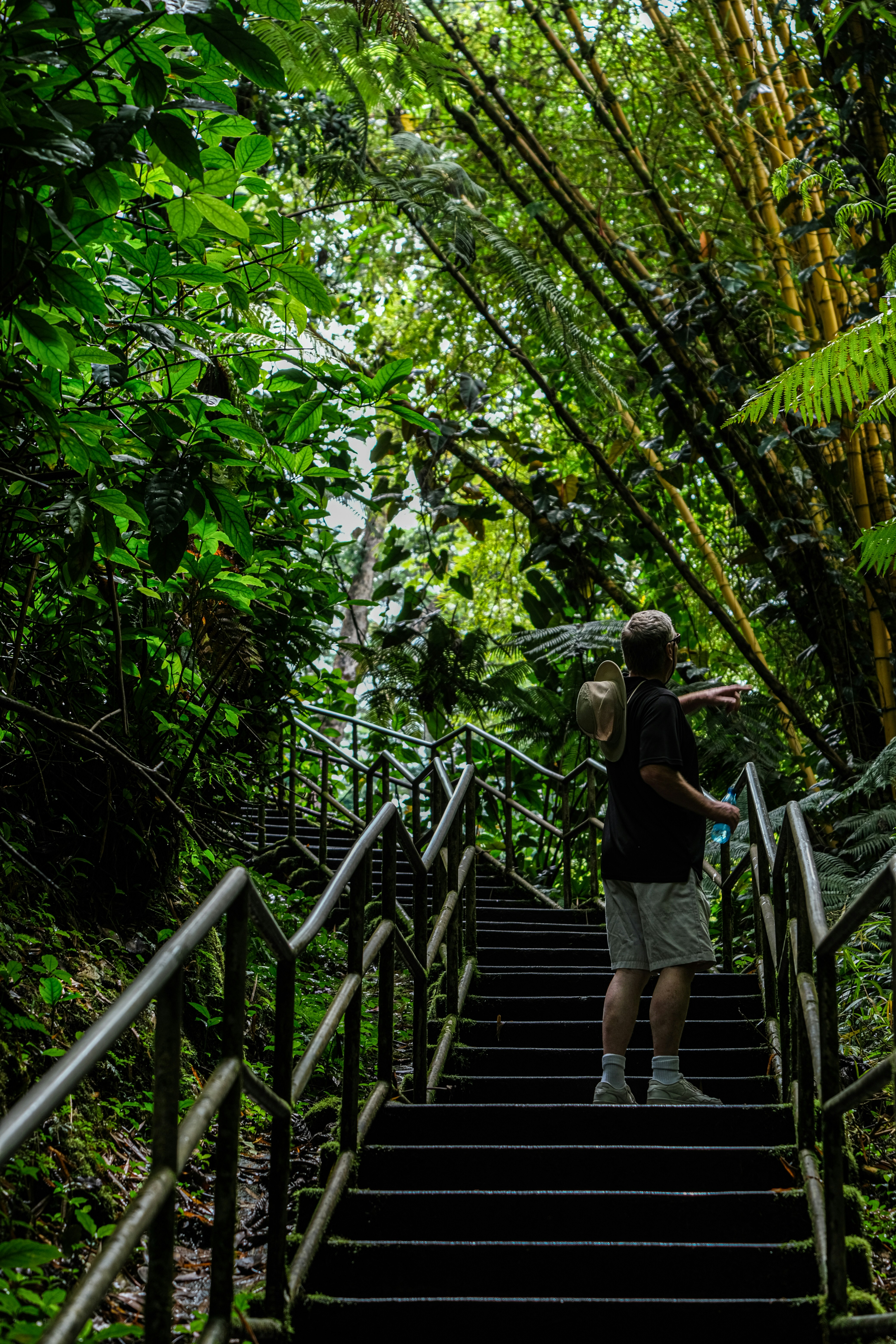 hawai‘i tropical bioreserve & garden