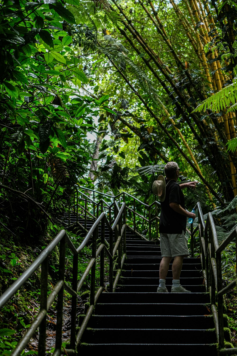 a man walking up a set of stairs in the woods