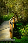 Travelers crossing a wooden bridge surrounded by lush green forest.