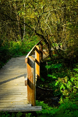 Travelers crossing a wooden bridge surrounded by lush green forest.