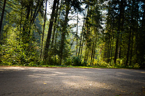 A peaceful retreat setting where participants reflect and connect under dappled sunlight in nature.