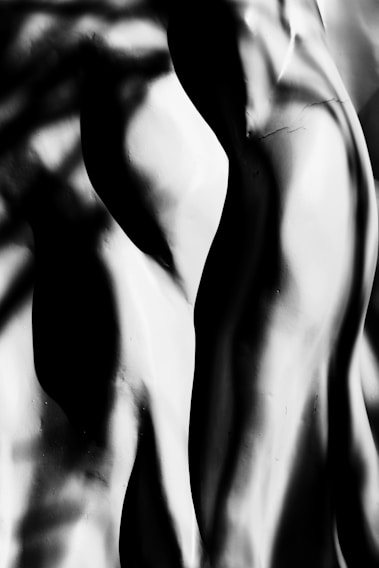 An abstract black and white photograph with smooth curves resembling human forms. Shadows and highlights create a dramatic contrast, emphasizing the contours and flowing nature of the shapes.
