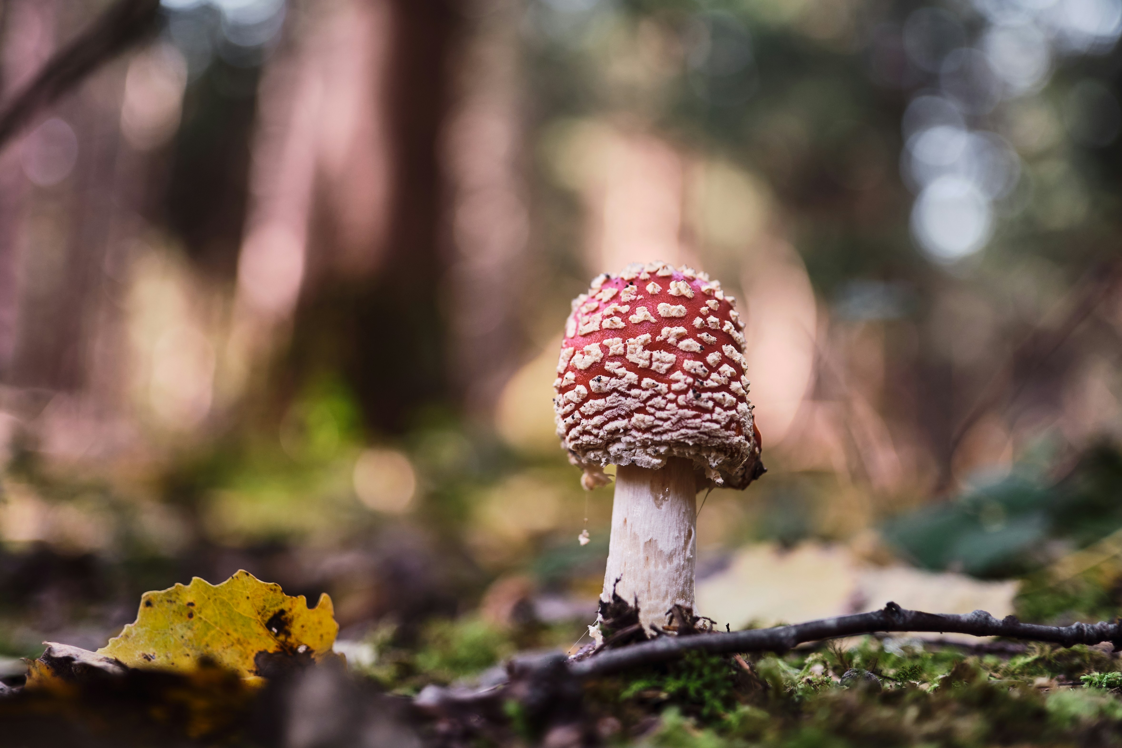 Photo by marcus_ganahl