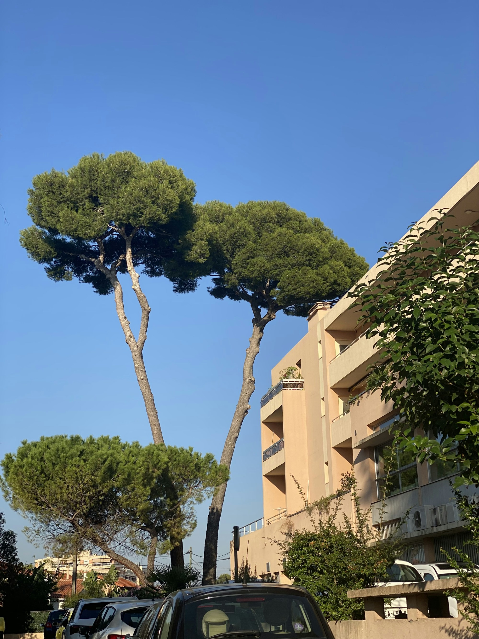 What to See in Cagnes-sur-Mer: A Comprehensive Travel Guide