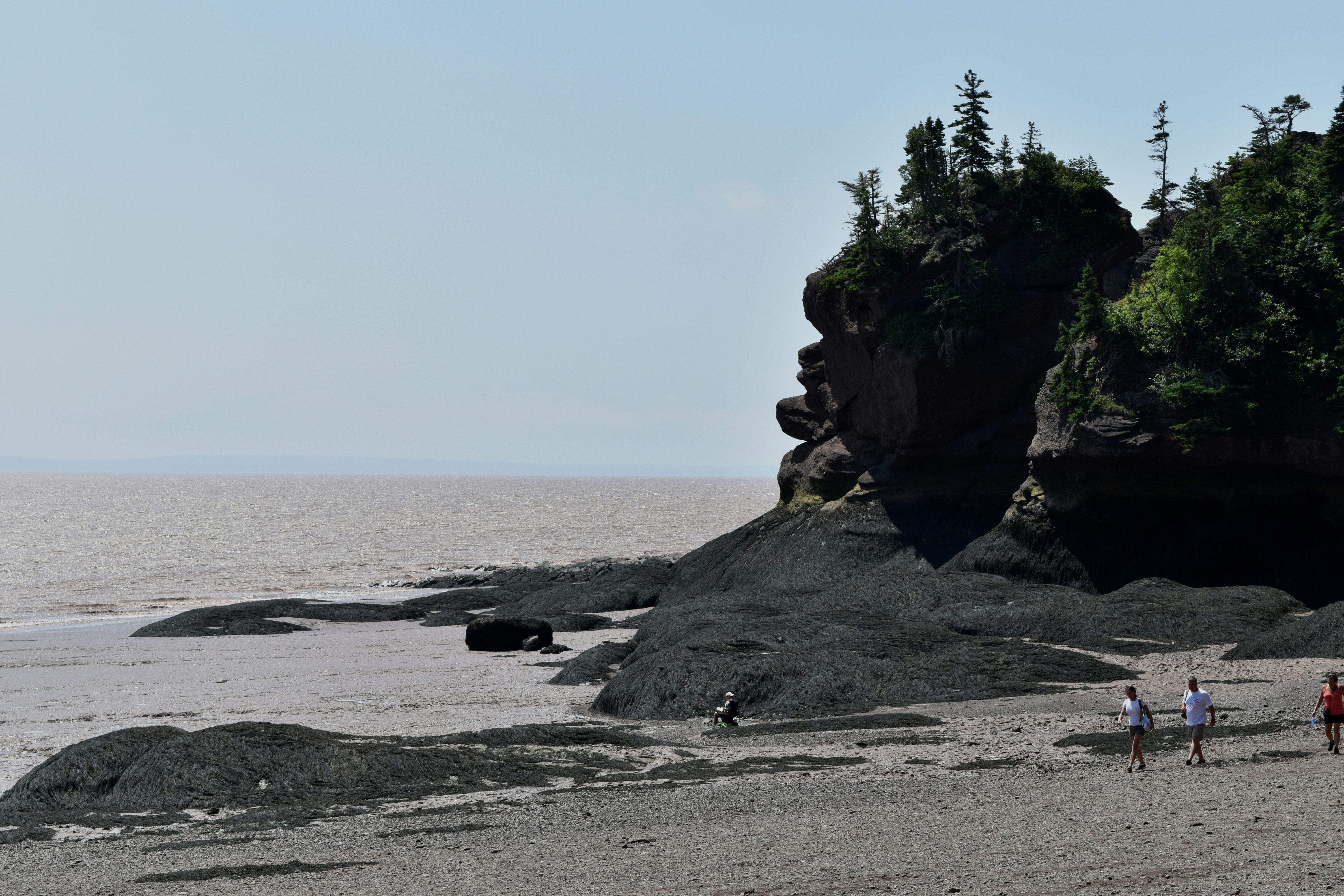 Devil Island Weddell Beach view 2