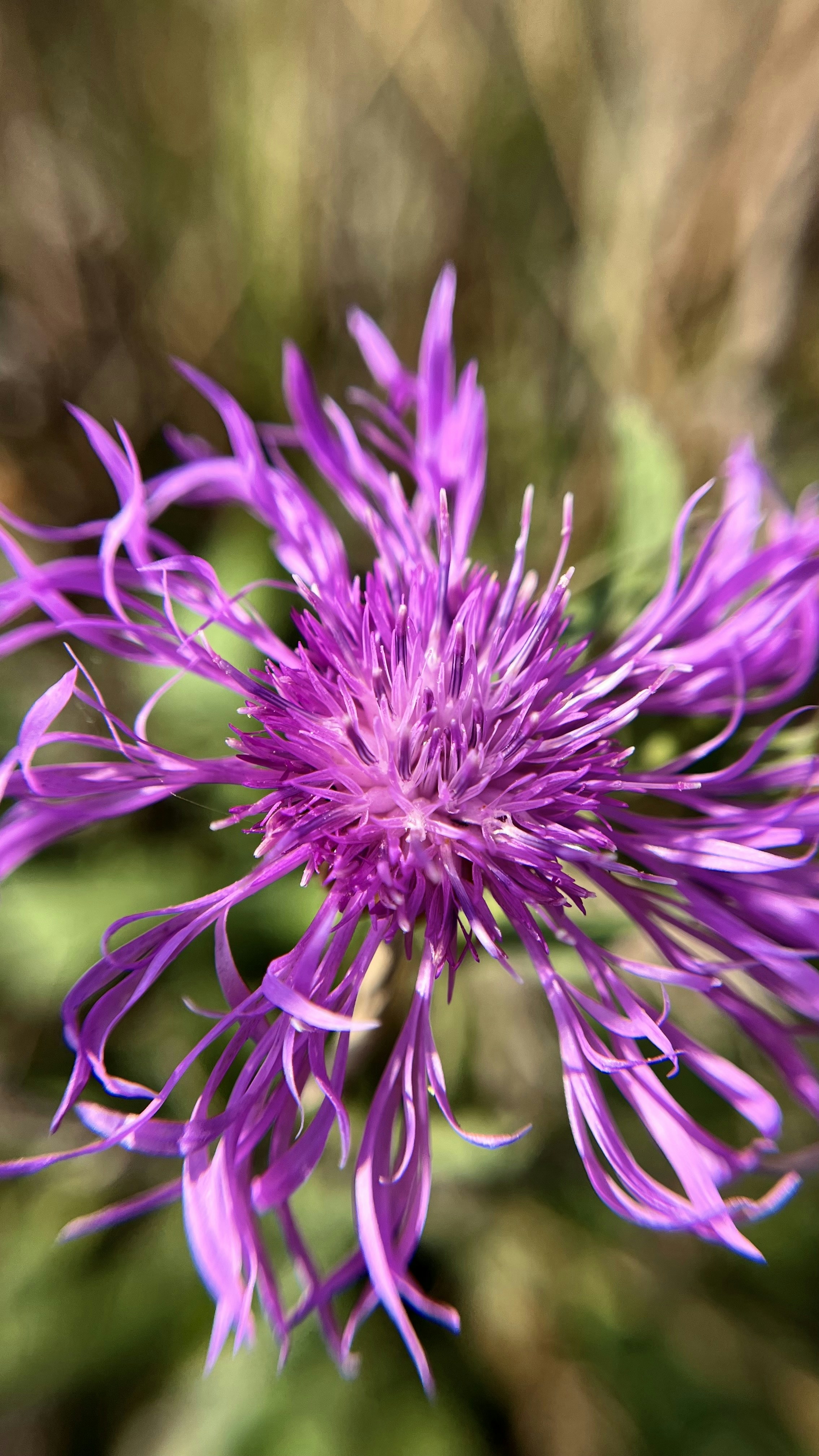 Photo by your_dream_about