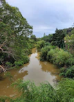 A serene river winding through the lush Amazon forest under a cloudy sky.