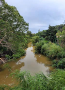 A serene river winding through the lush Amazon forest under a cloudy sky.