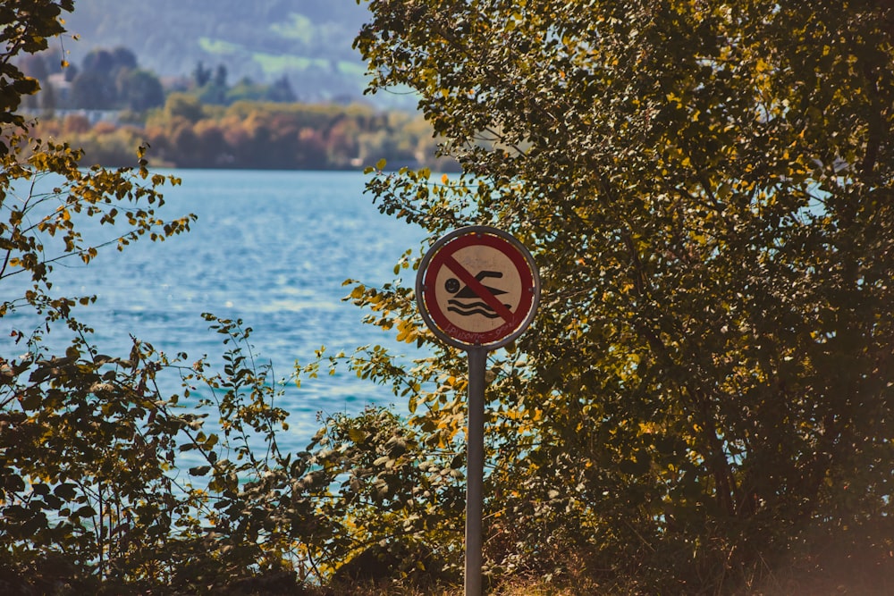 a no swimming sign in front of a body of water