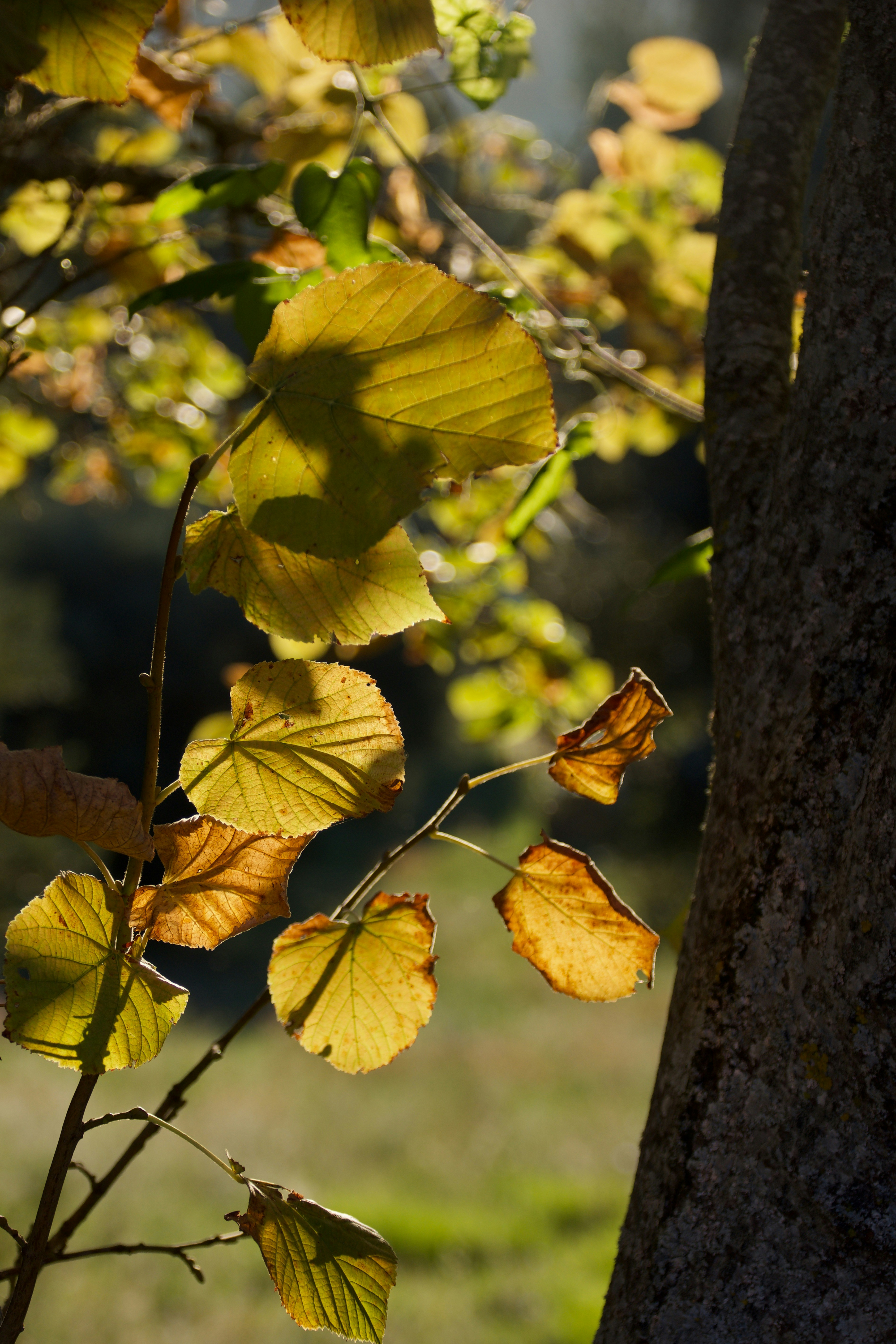 Photo by mariobeducci