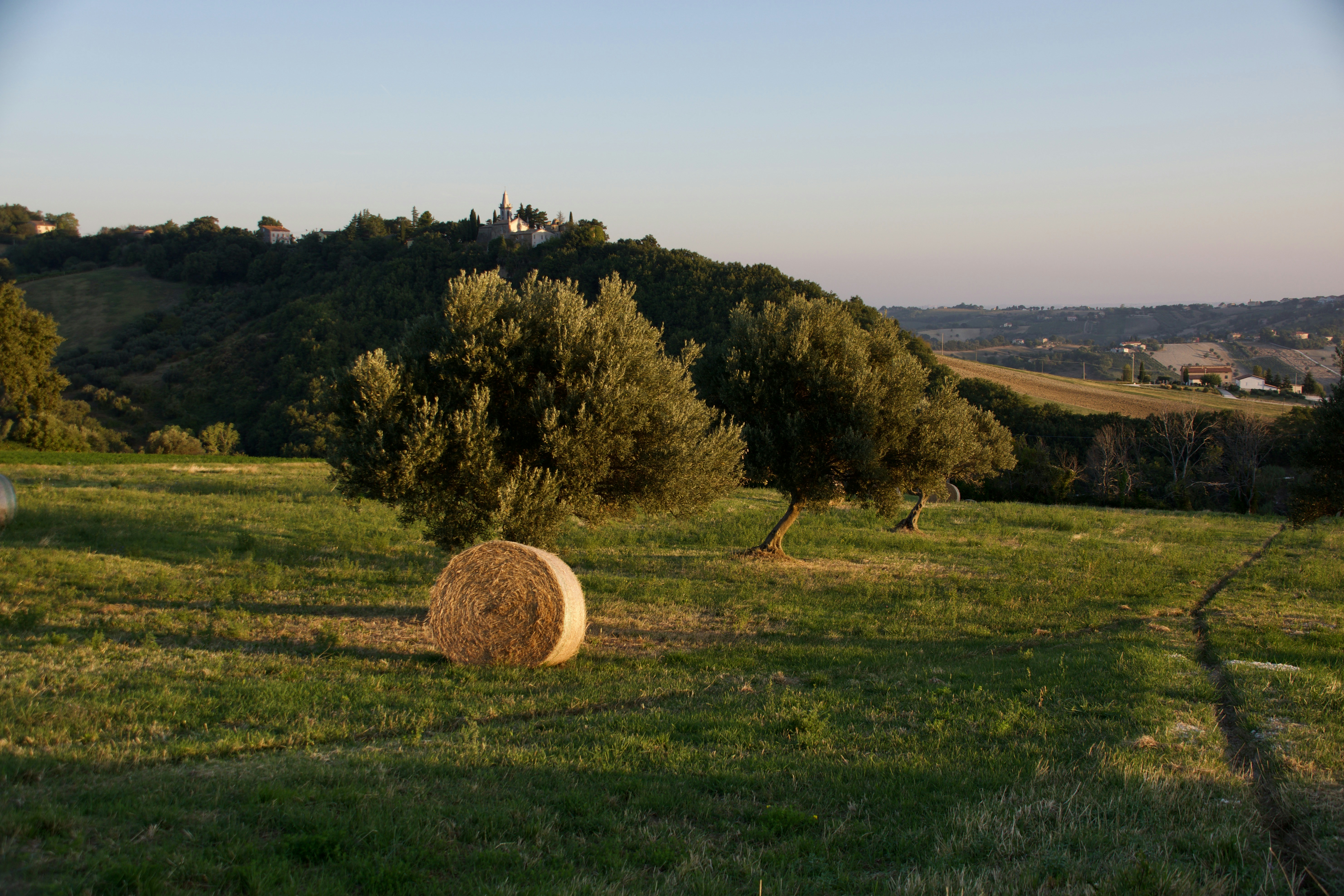 Photo by mariobeducci