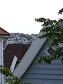 View of Nõmme neighborhood rooftops peeking through green treetops.