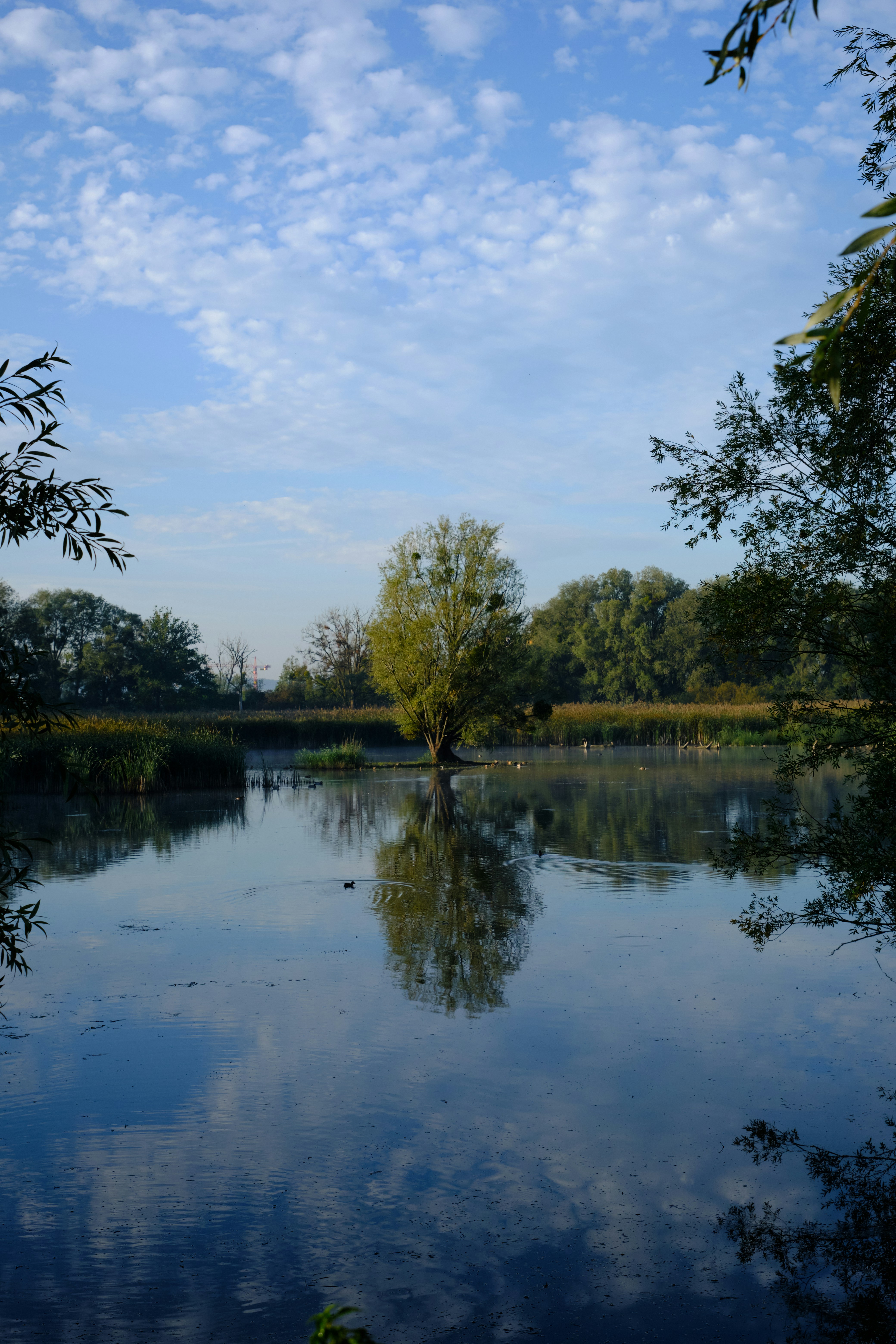 Photo by corentinschneiter