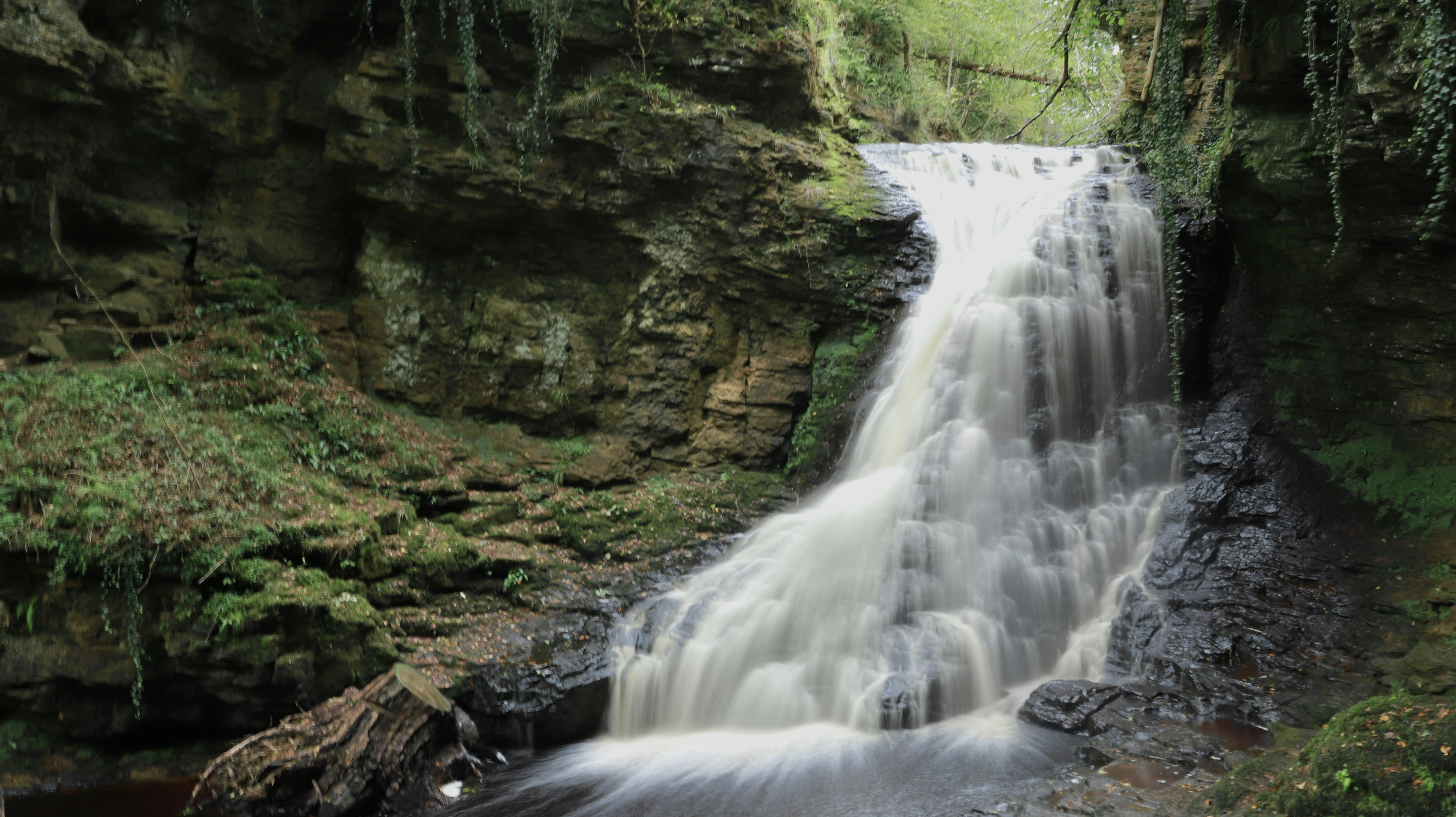 Photo by johnsonandrew290