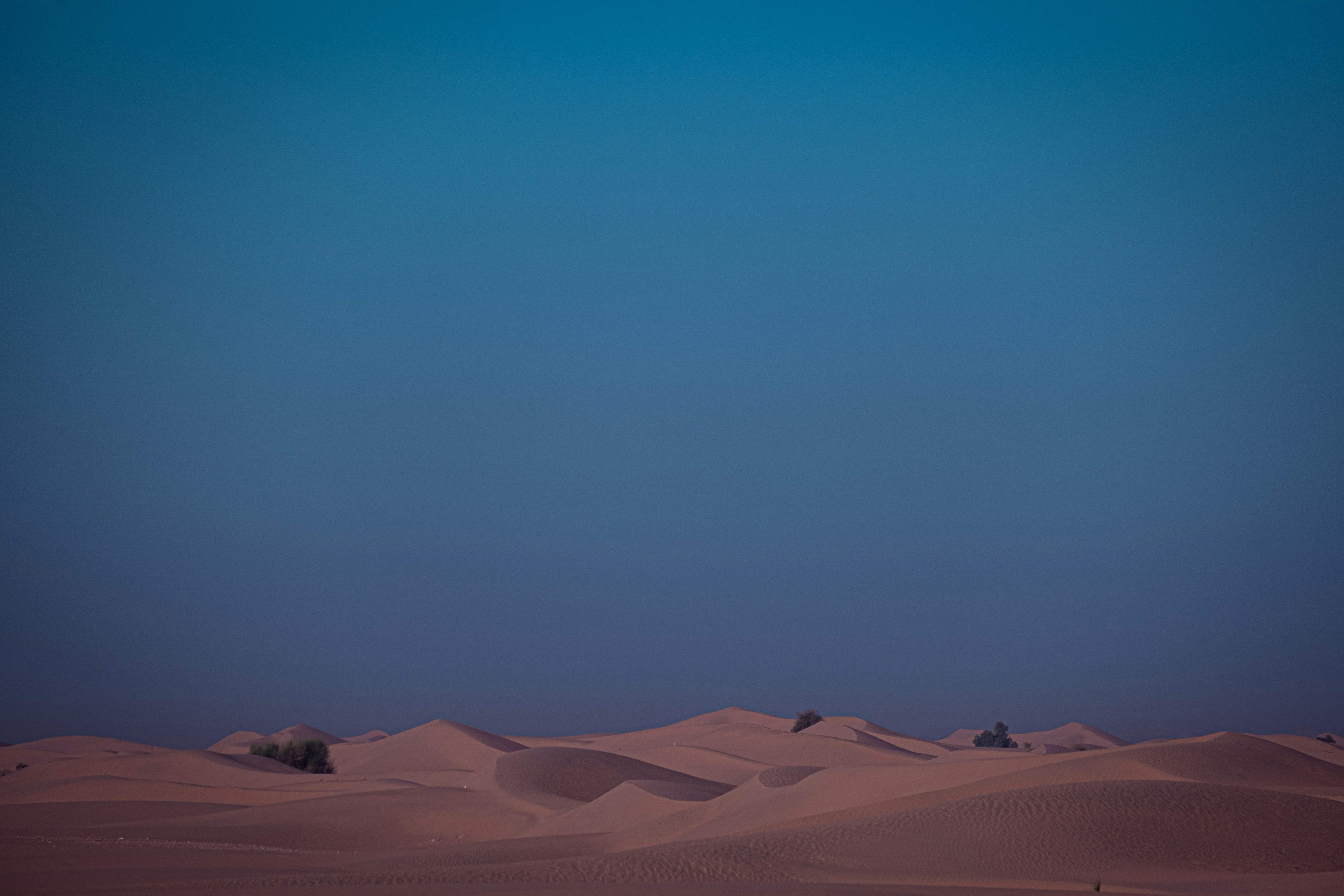 Photo by mo_design_3d