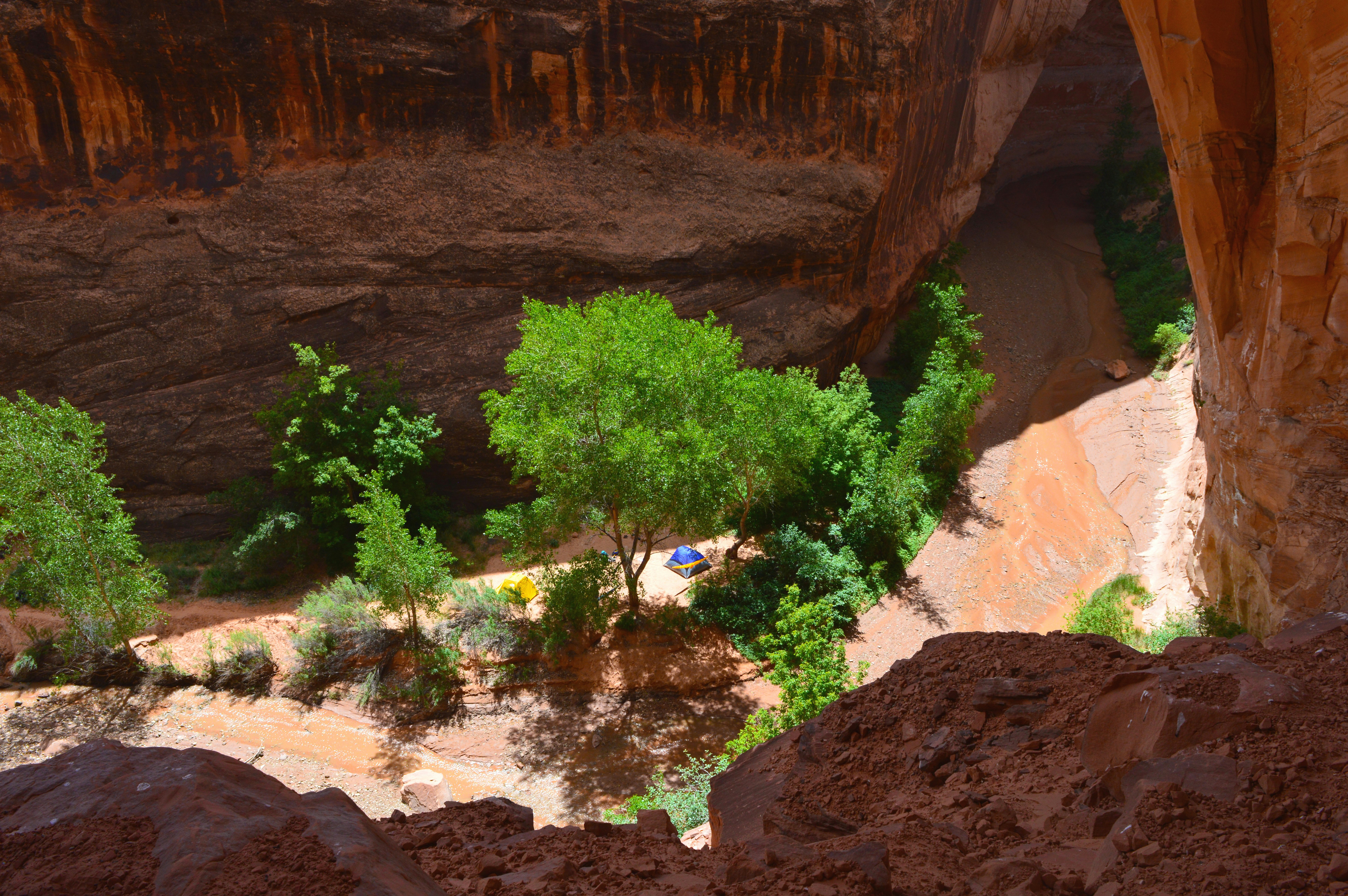A view of a canyon from a high point of view