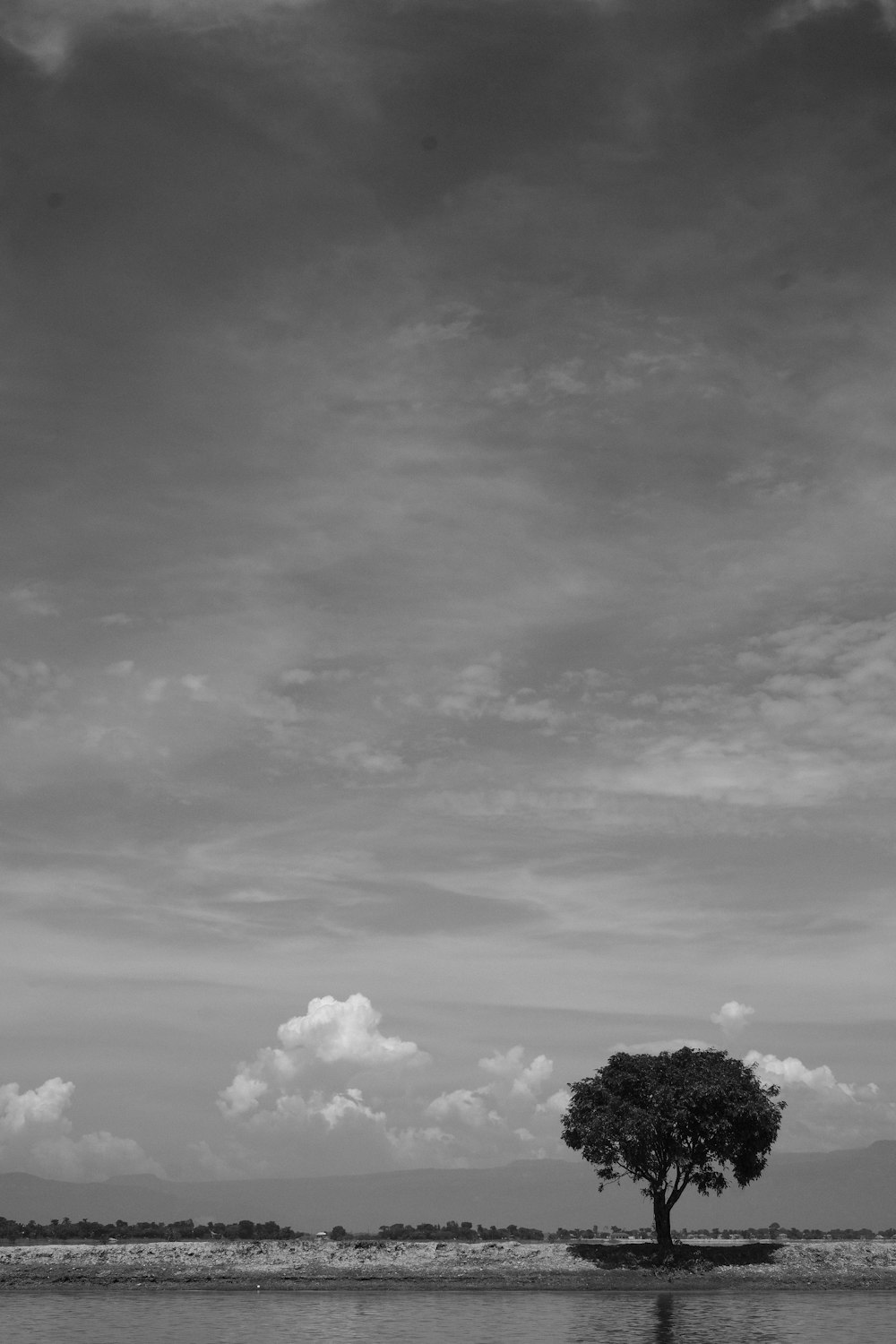 a lone tree in the middle of a lake