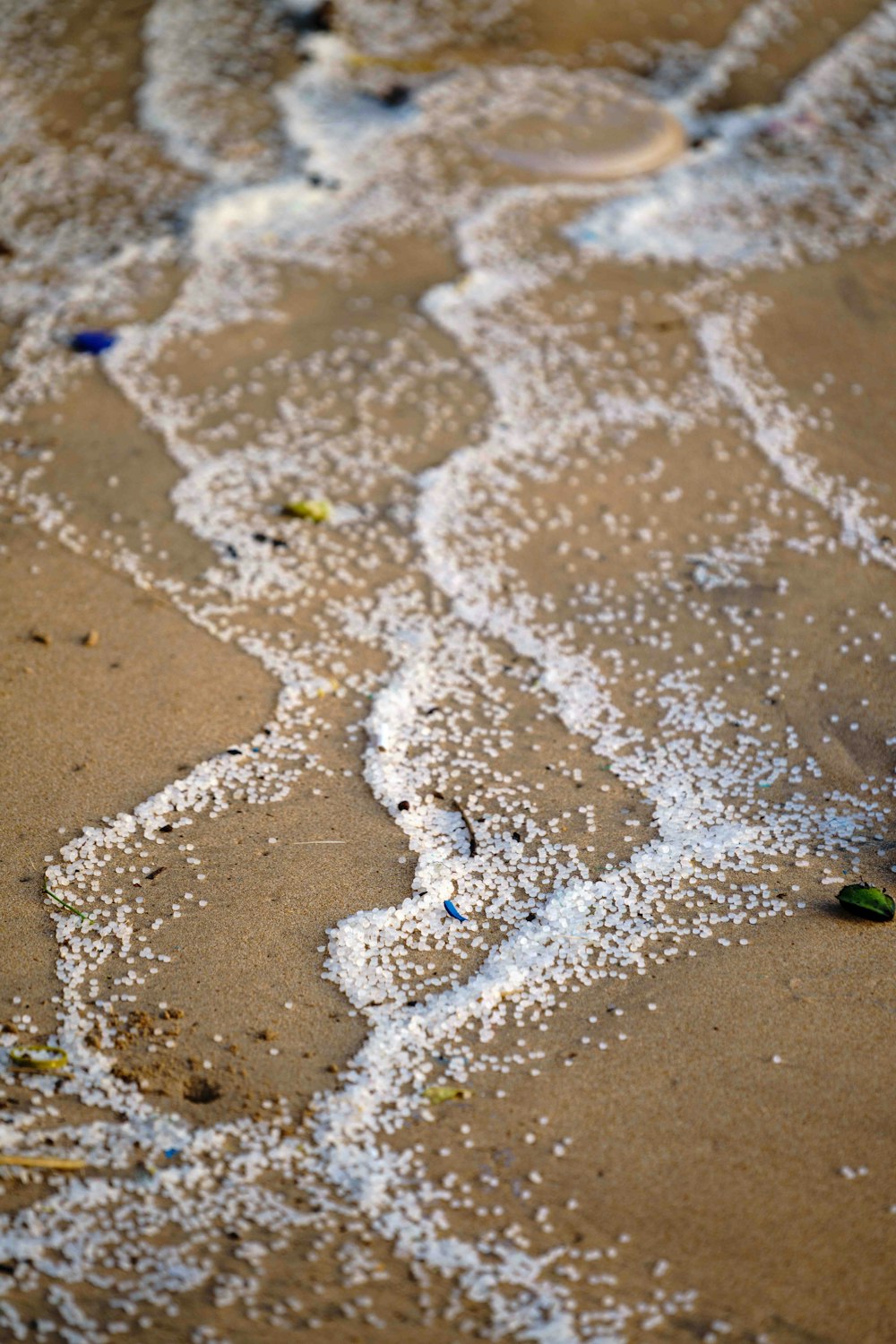 Un primer plano de una playa de arena blanca