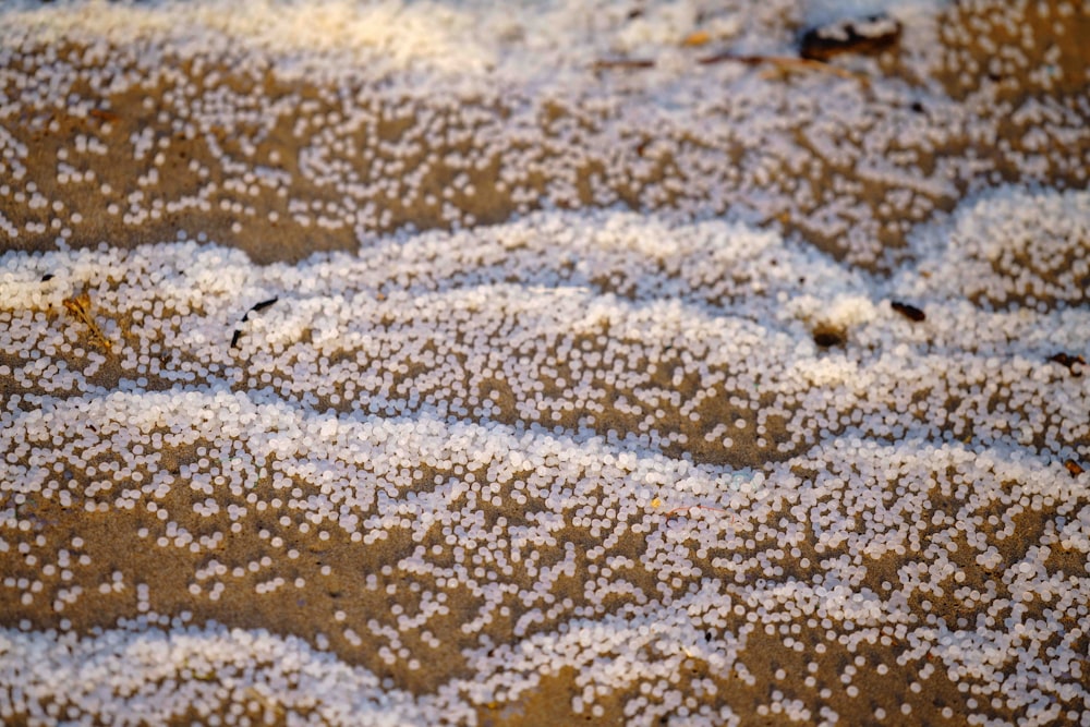a close up of some white stuff on a surface