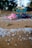 Small white plastic pellets scattered on a sandy beach, with blurred objects in the background including a pink figurine and assorted debris.
