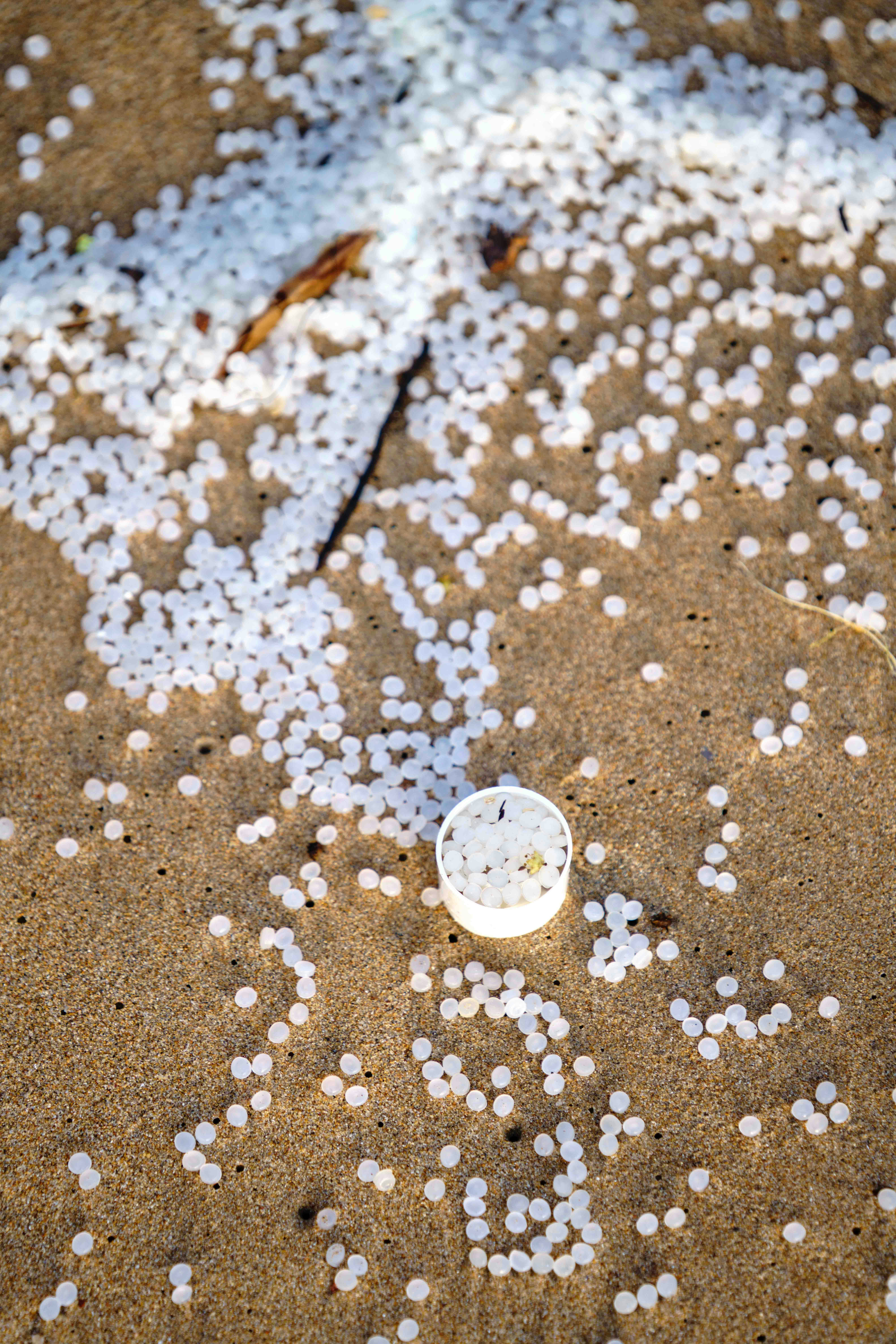 Machines Against the Tide: How AI Is Taking On the Microplastic Crisis