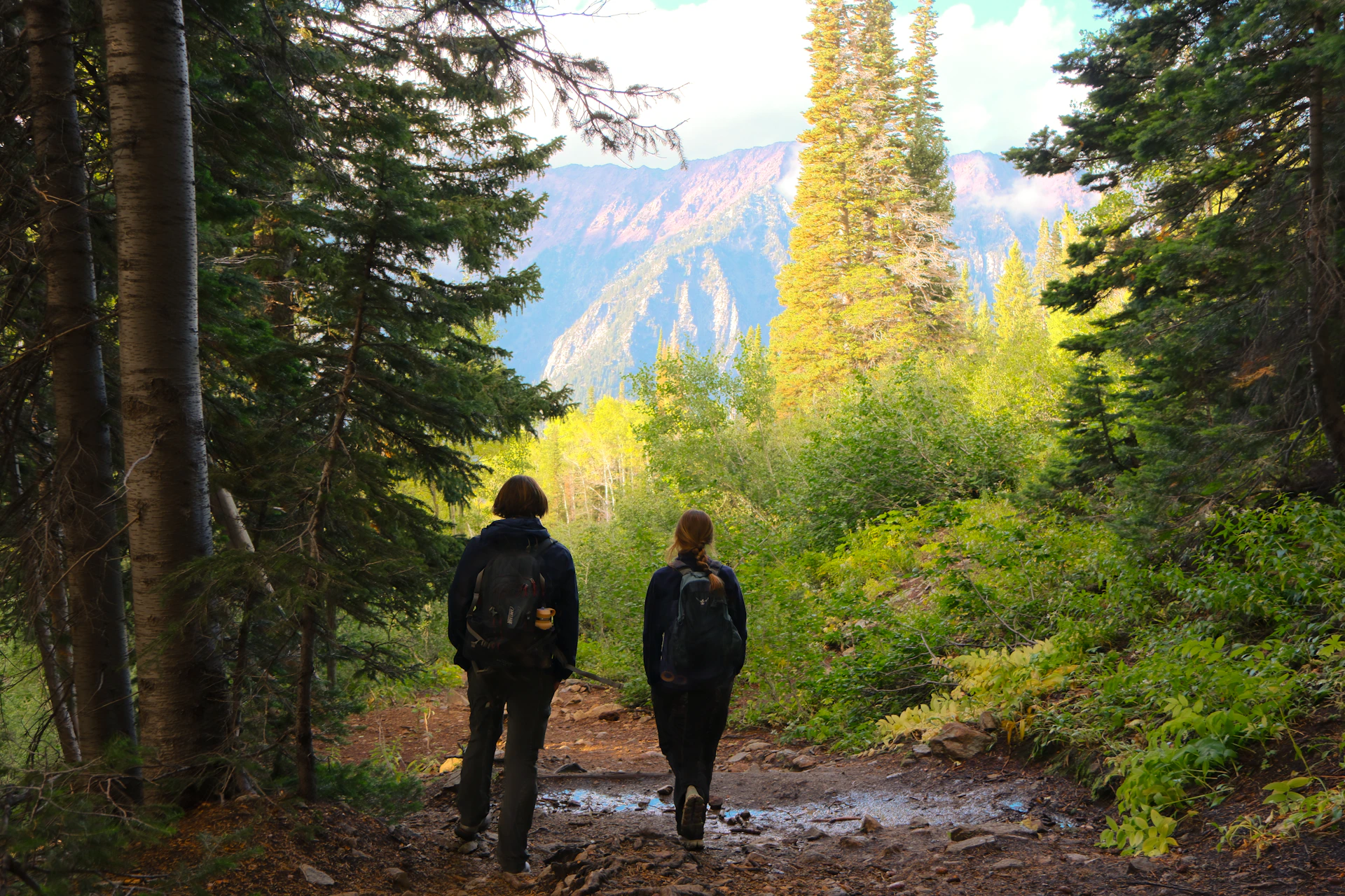 a couple of people that are walking in the woods