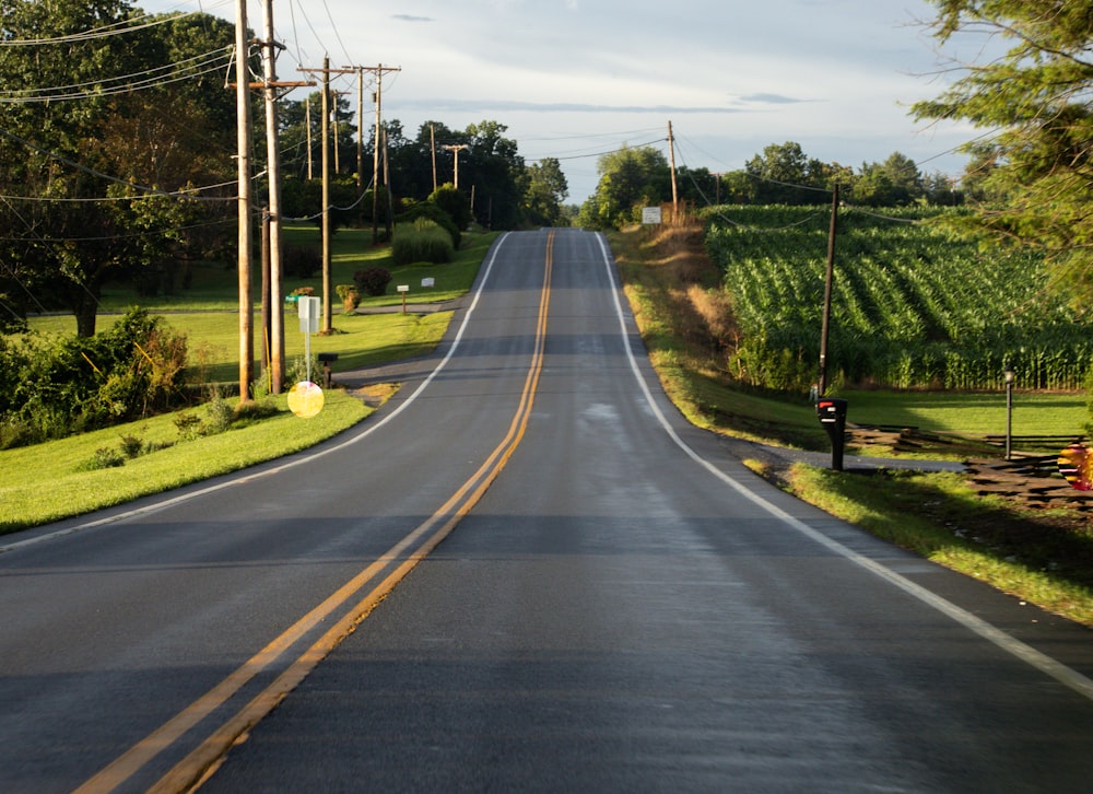 a long empty road with no cars on it