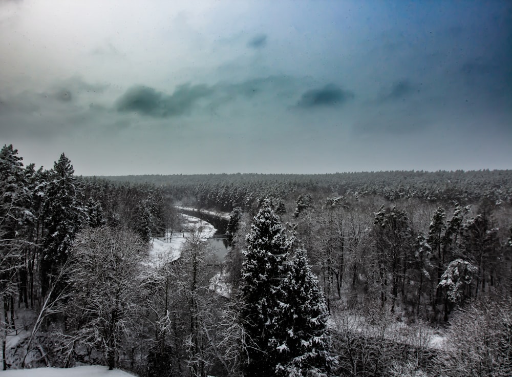 a snow covered forest with a river running through it