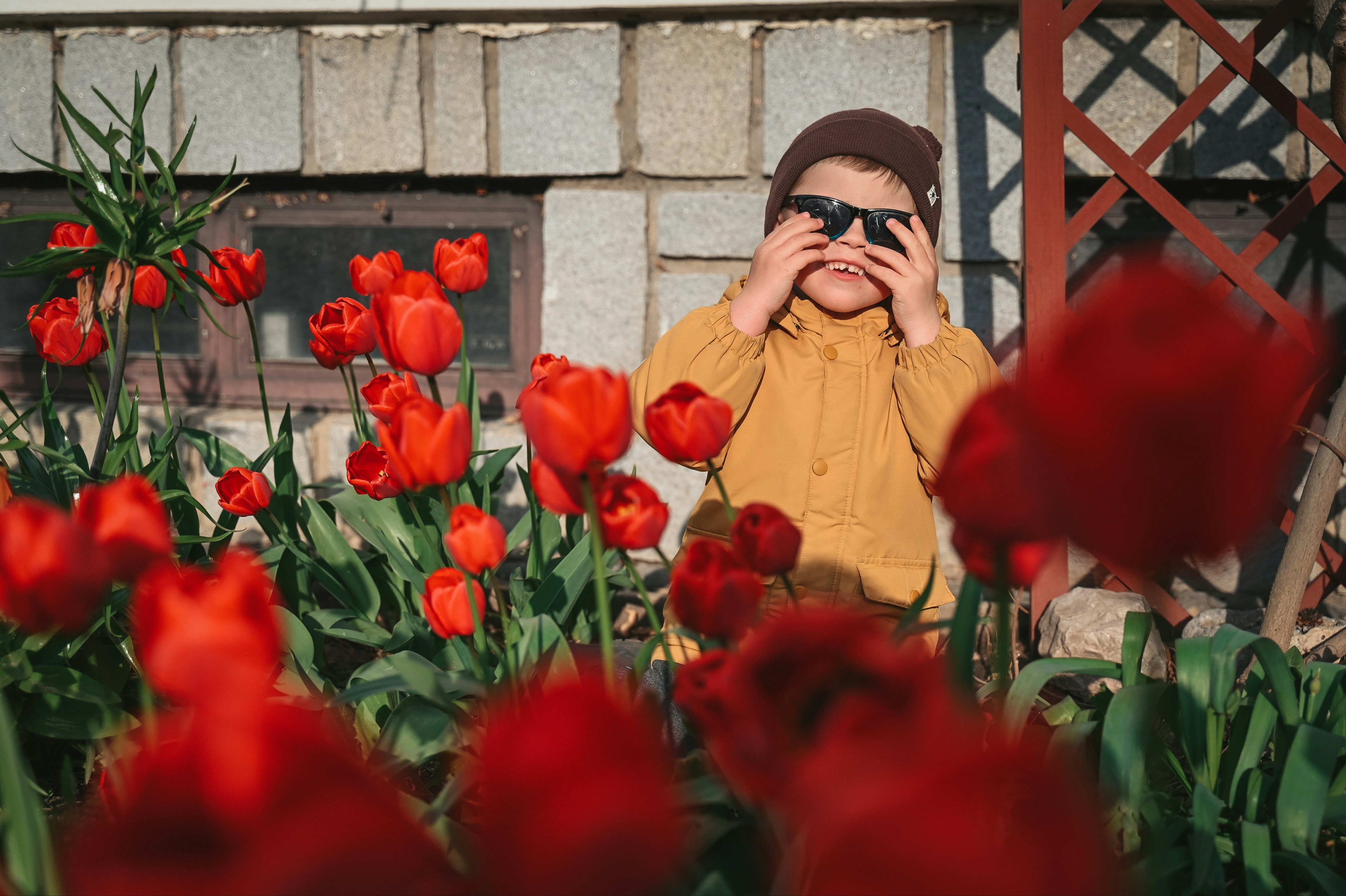 Cody's Daily Moments