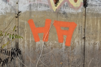 Orange graffiti letters 'HA' are painted on a weathered concrete wall, surrounded by some plants and faint graffiti. There are visible rust stains and signs of aging on the wall.