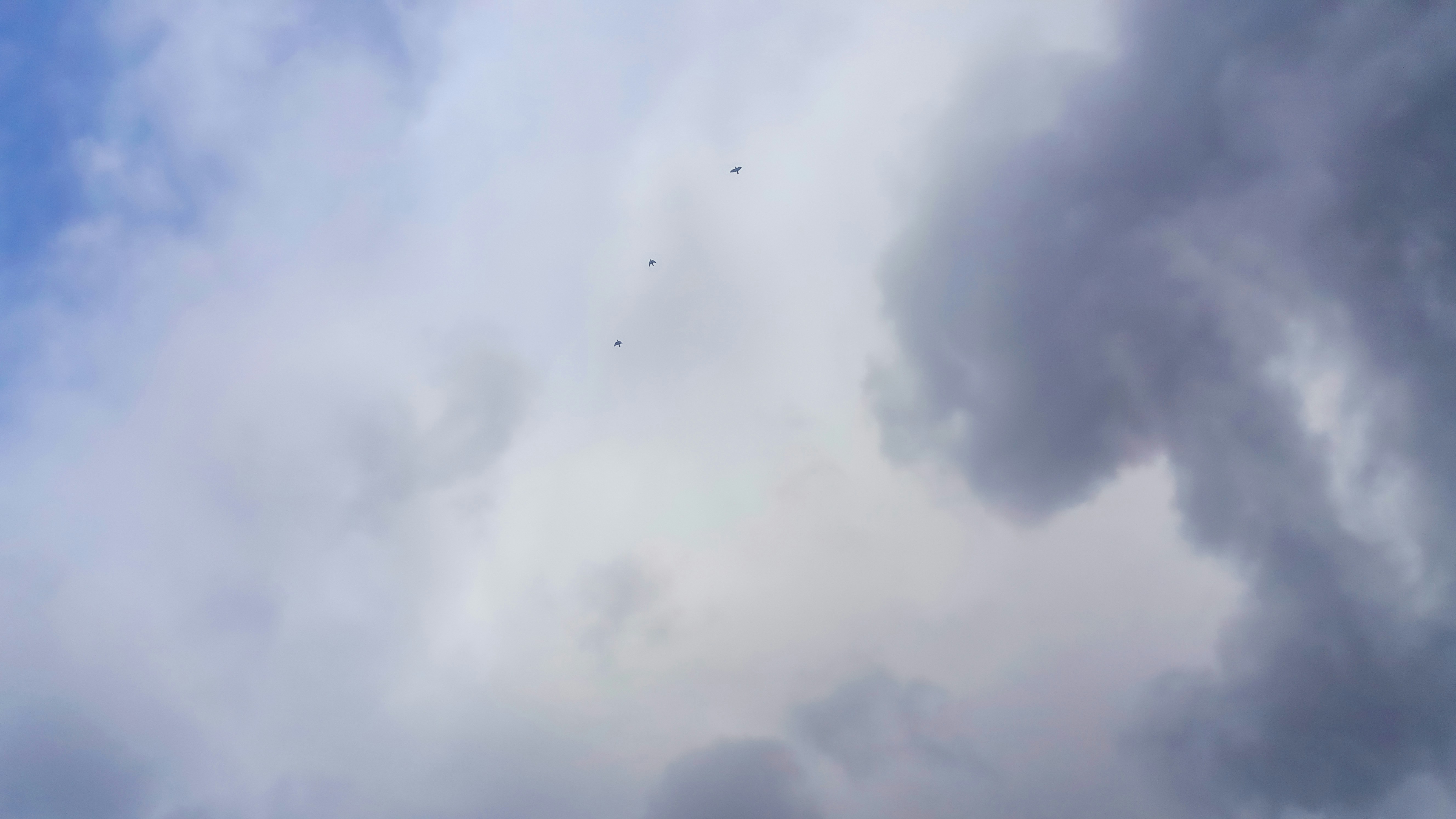 Photo by 8bitlikadam