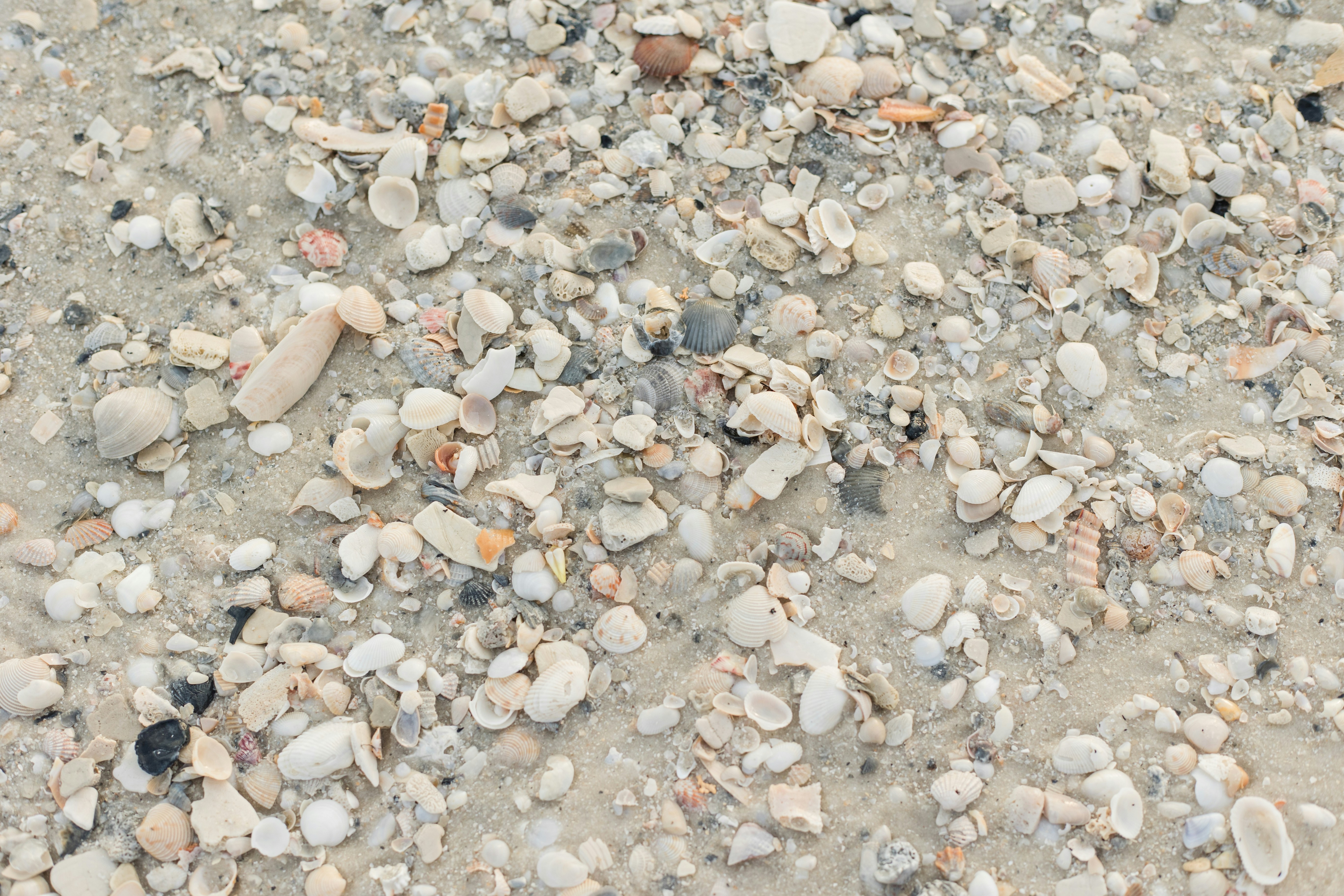 Photo by hannahcappsphoto