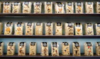 Freshly packed dry fruits in eco-friendly bags with the Nuezoro logo, ready for fast delivery.