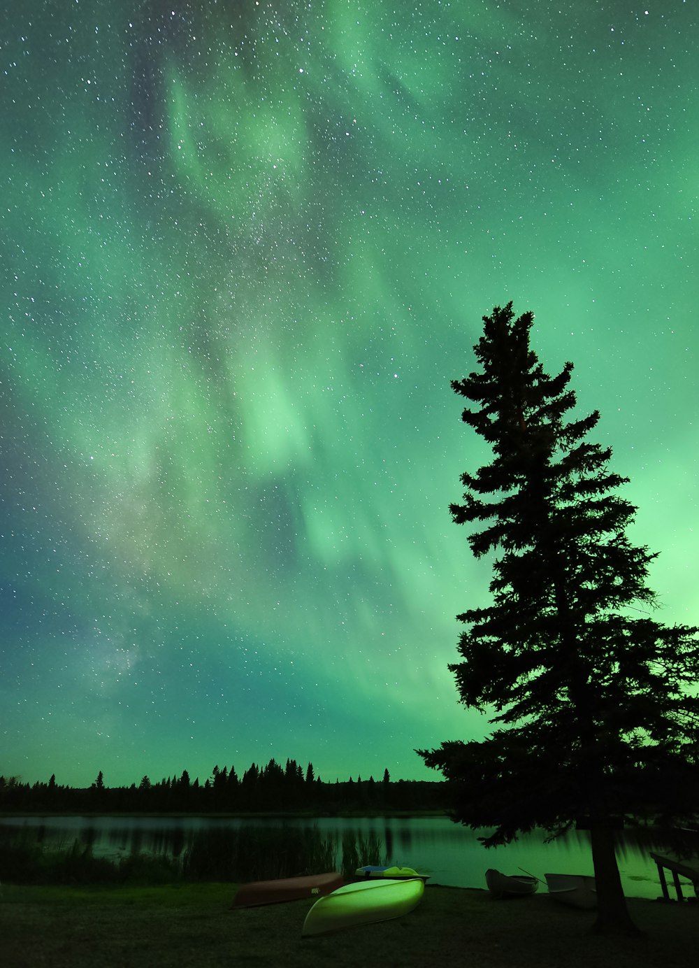 a green and blue sky filled with stars and a tree