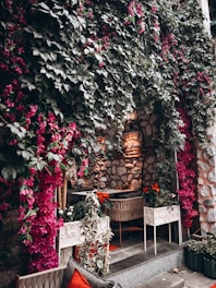 Cozy garden nook with blooming flowers and stylish outdoor furniture.