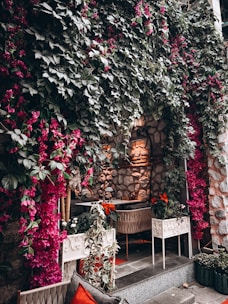 Cozy garden nook with blooming flowers and stylish outdoor furniture.