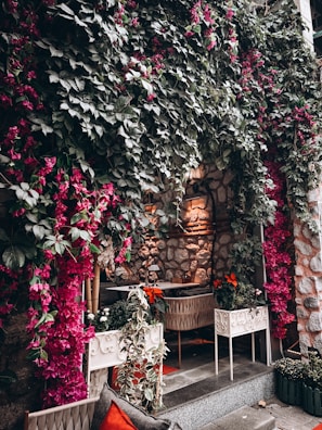 A cozy garden space with vibrant flowers and greenery.