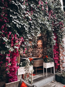 A cozy outdoor seating area is adorned with lush greenery and vibrant magenta flowers cascading down a stone wall. The space features elegant white chairs and tables, with potted plants adding to the natural charm. Soft lighting enhances the warm and inviting atmosphere.