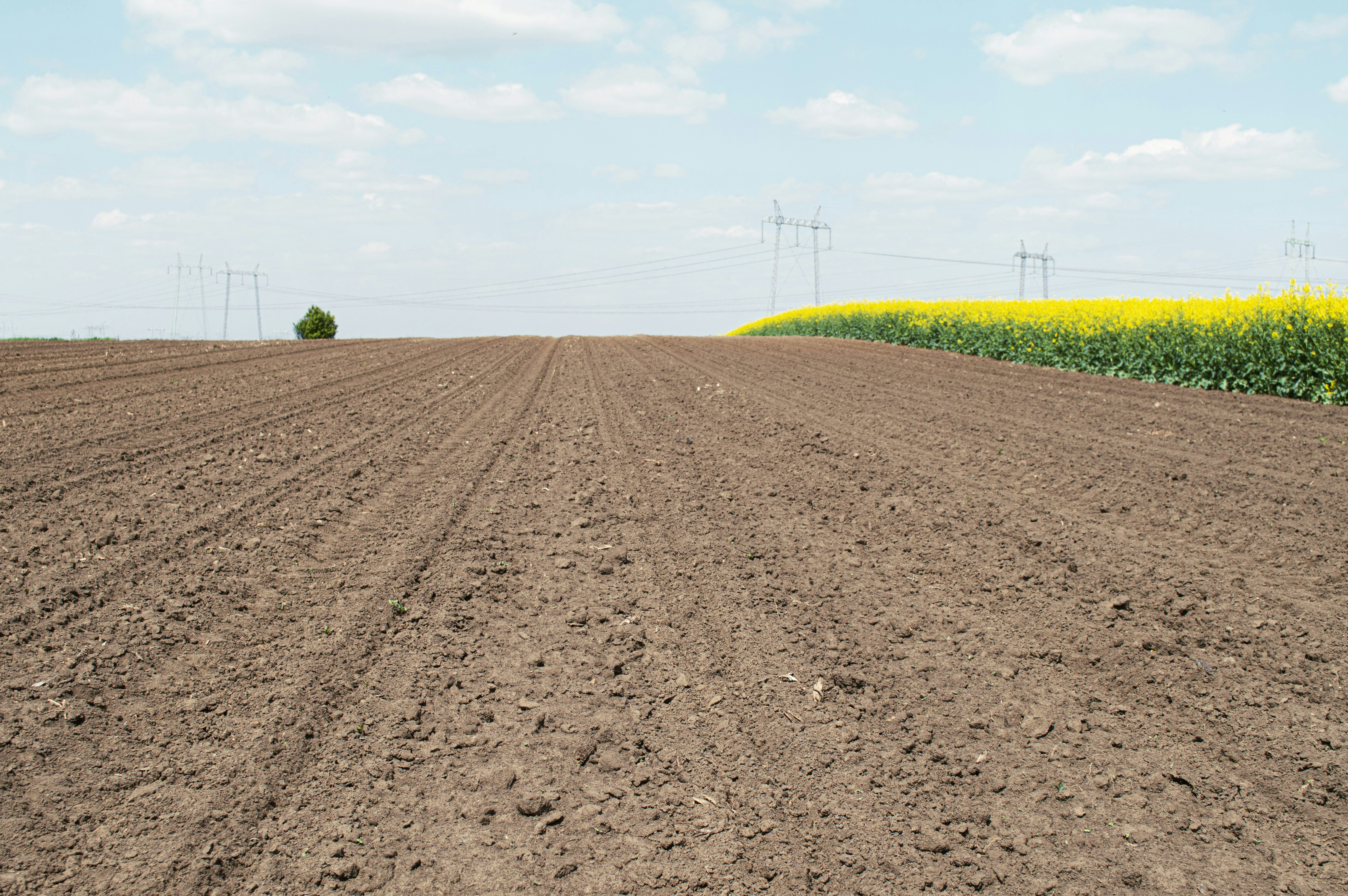 Photo by markoantonovic