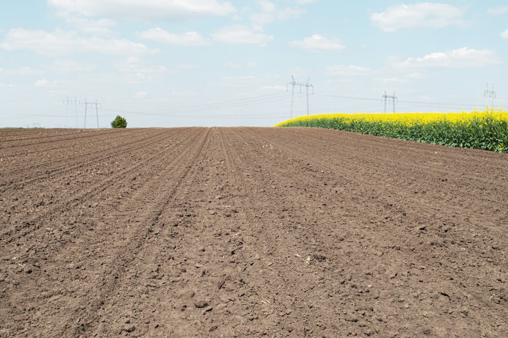 a plowed field with power lines in the distance