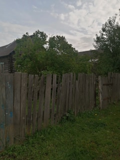 A backyard with overgrown grass and a wooden fence.