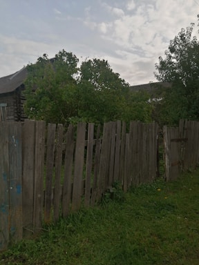 A backyard with overgrown grass and a wooden fence.