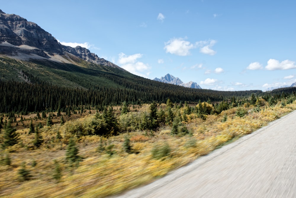 a car driving down a road next to a forest