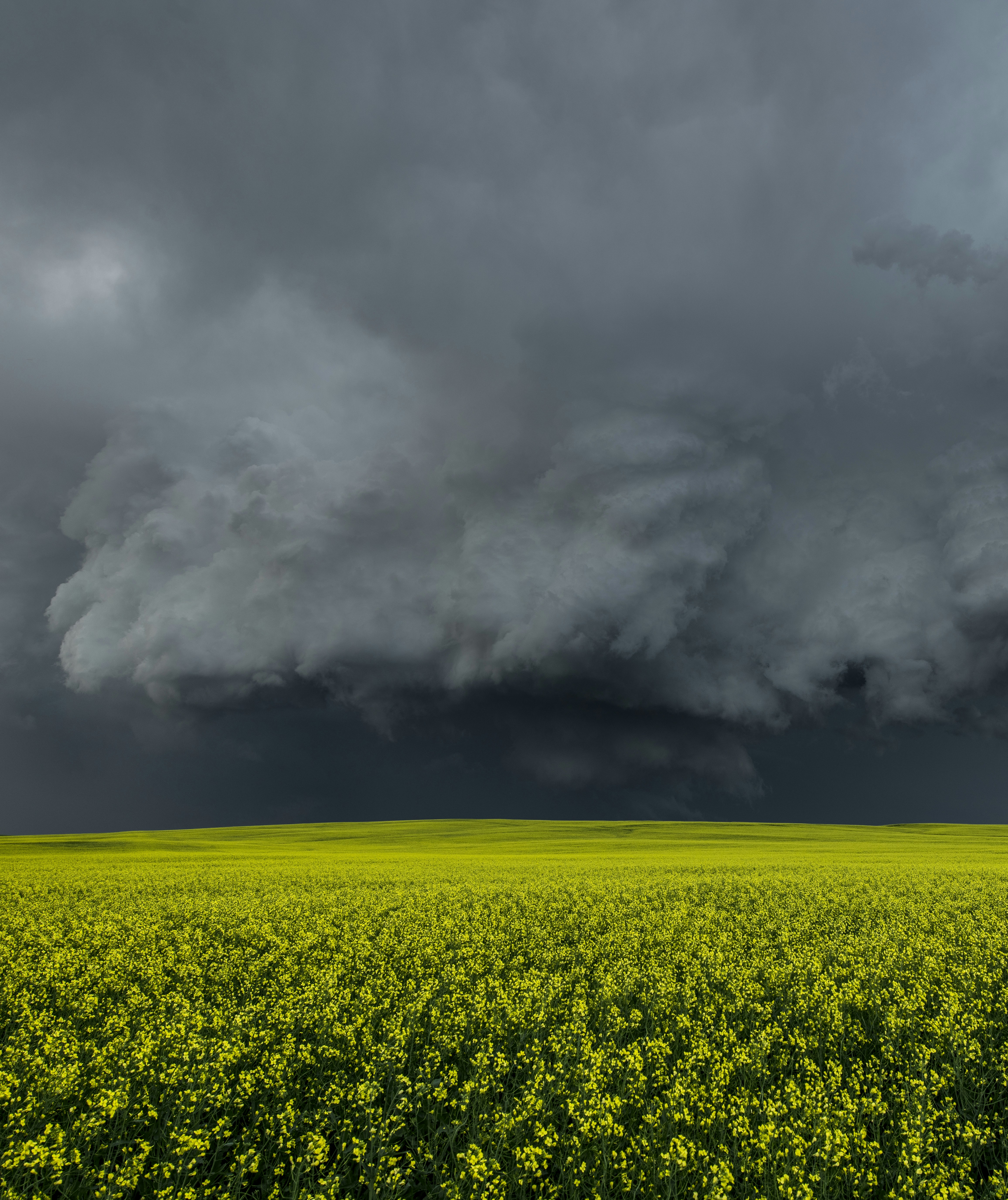 Photo by tornadogreg