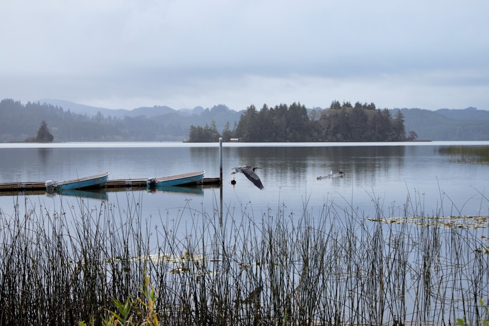 a couple of boats floating on top of a lake