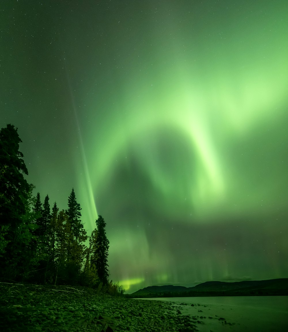 a green and white aurora bore over a lake